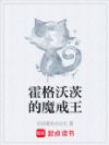 霍格沃茨的魔戒王