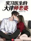 实习医生的大律师老婆
